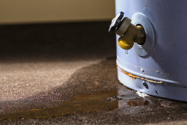 Best Mold removal after water damage  in Orofino, ID