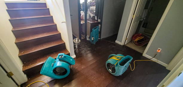 Best Mold removal after water damage  in Orofino, ID