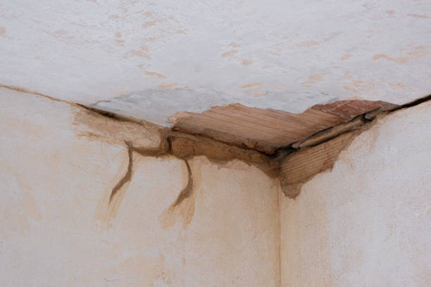 Best 24/7 water damage repair  in Orofino, ID