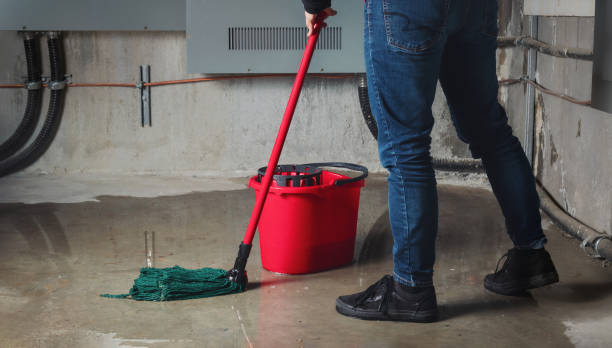 Best Residential water damage restoration  in Orofino, ID