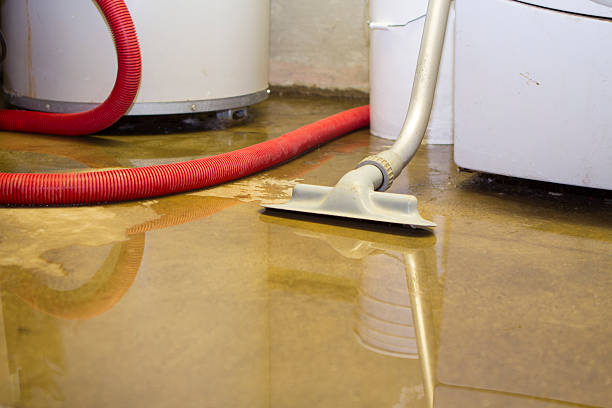 Best 24-hour water damage restoration  in Orofino, ID