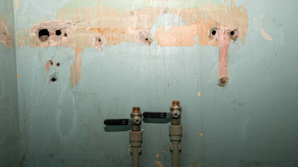 Best Water damage restoration process  in Orofino, ID