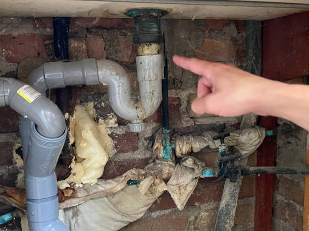 Best Ceiling water damage repair  in Orofino, ID