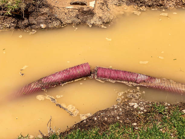 Best Water damage restoration cost  in Orofino, ID