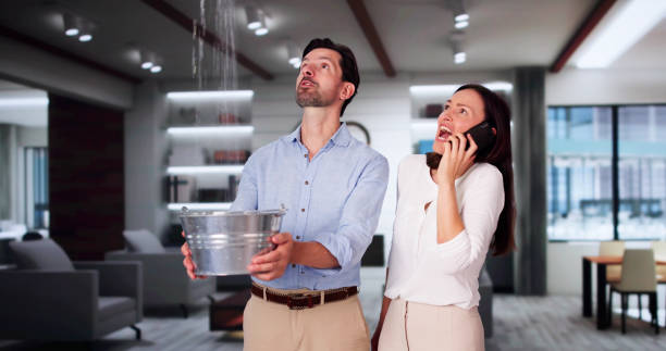 Best Water damage restoration company  in Orofino, ID