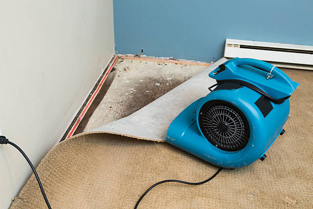 Best Basement water damage restoration  in Orofino, ID