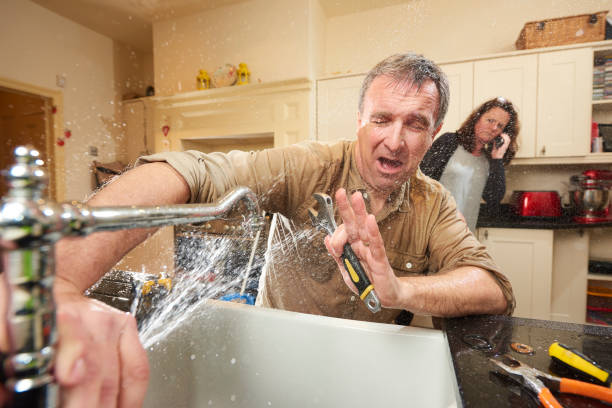 Best Carpet water damage restoration  in Orofino, ID